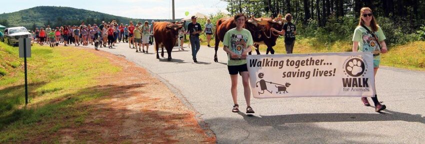 The 28th Annual Walk for Animals--Saturday June 18, 2016