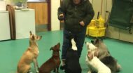 Linda Thompson practices a warm-up for The Daycare Games with five dogs