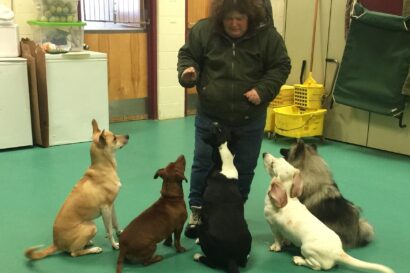 Linda Thompson practices a warm-up for The Daycare Games with five dogs