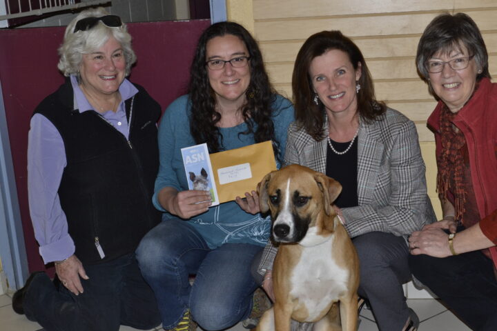 MHS wins award to support Animal Safety Network