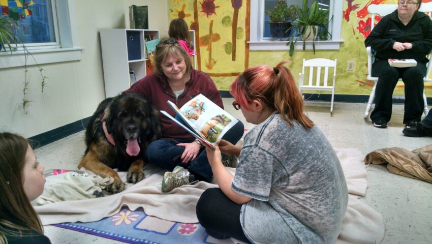 Brig the Therapy Dog at Reading Nook in Keene