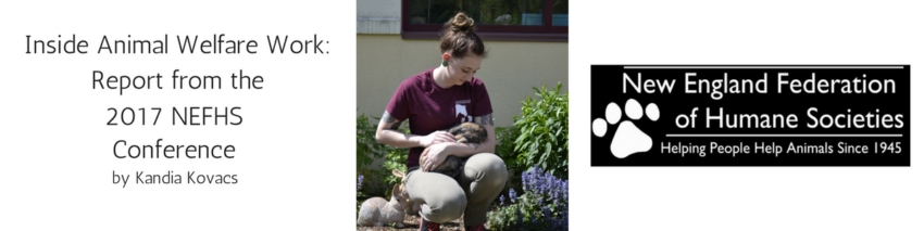 banner with image of woman holding an animal and text that says inside animal welfare work: report from the 2017 nefhs conference by kandia kovacs new england federation of humane societies helping people help animals since 1945.