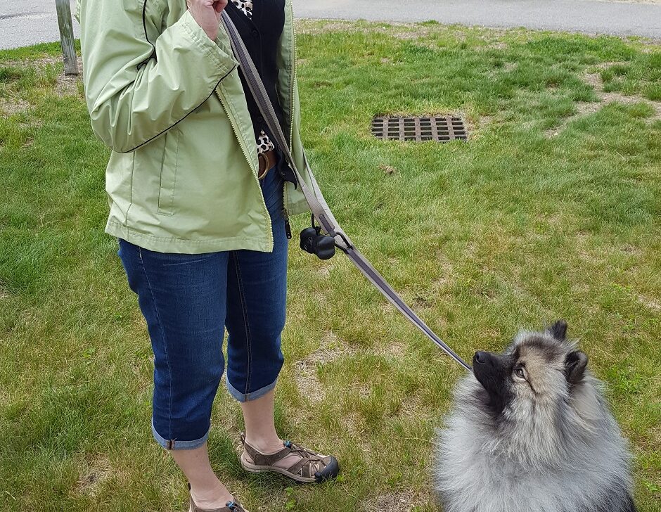 woman with dog on leash outside.