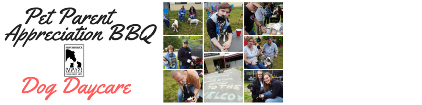 Photo collage of pets and their owners at a pet parent appreciation bbq.