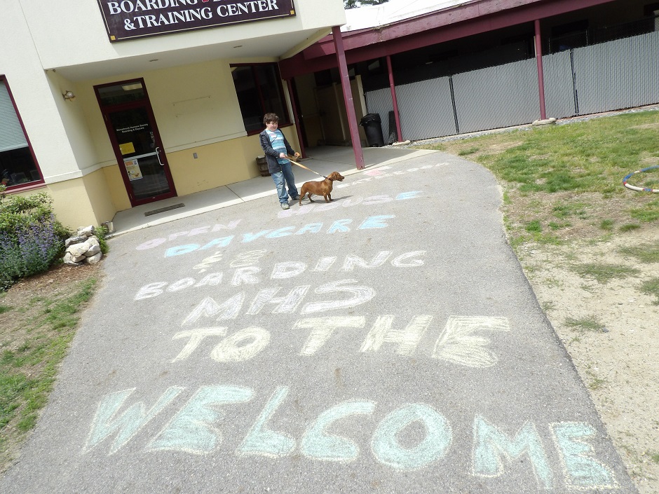 sidewalk chalk that says from bottom to top welcome to the MHS boarding and daycare open house.
