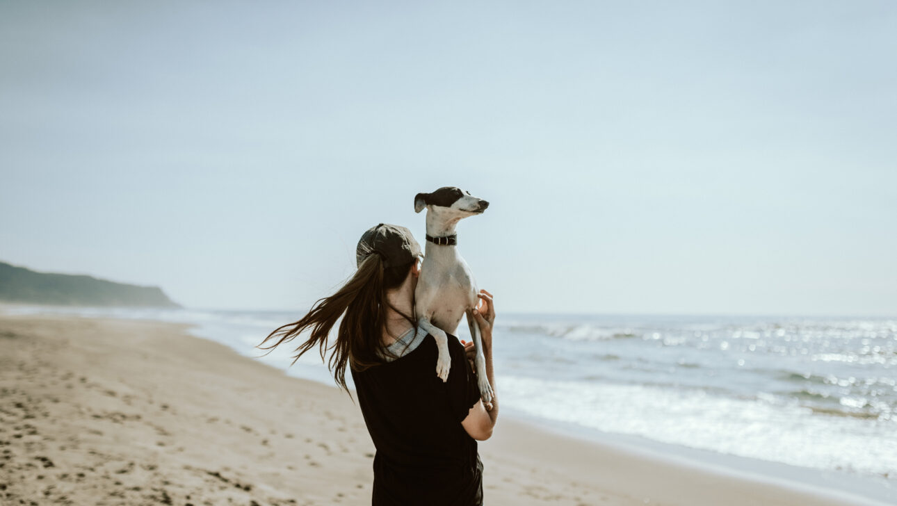 A person holding a dog at a beach.