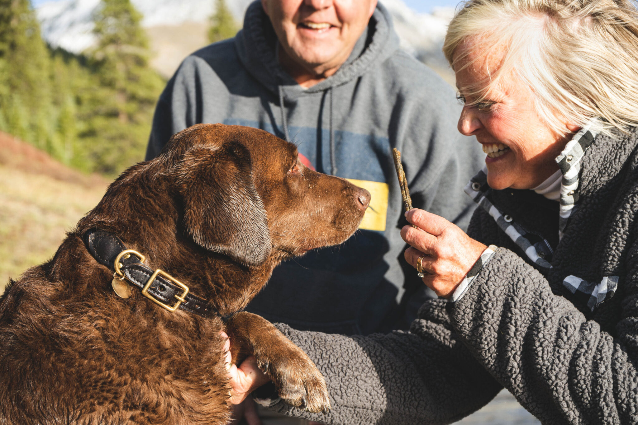 Donate - Monadnock Humane Society
