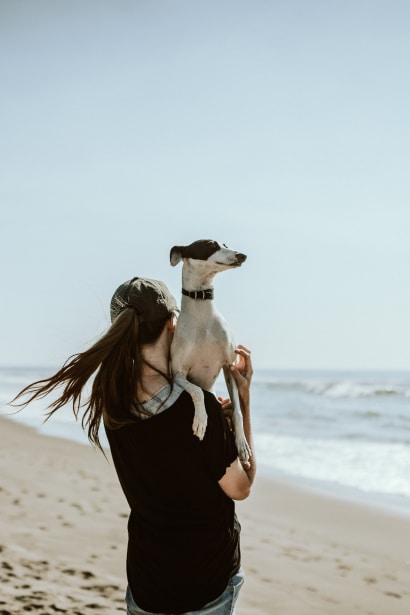 A person carrying a dog in their arms at a beach.
