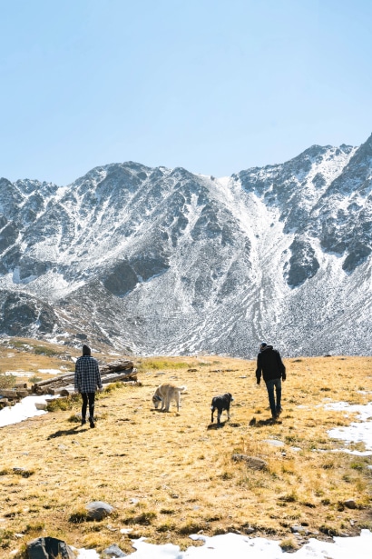 Two people and two dogs in front of a mountain.