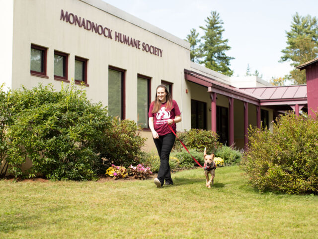 A woman walking a dog outside the entrance of the Monadnock Humane Society building.