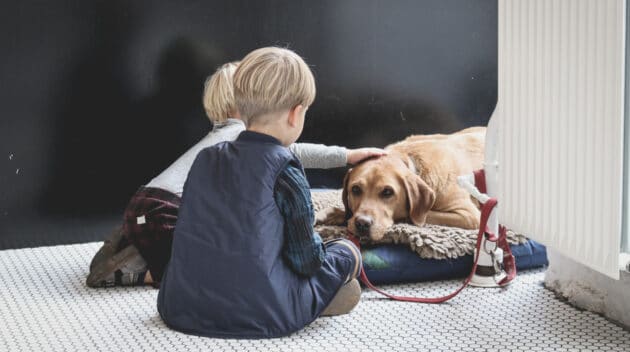 Two children petting a dog.