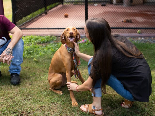 A woman petting a dog.