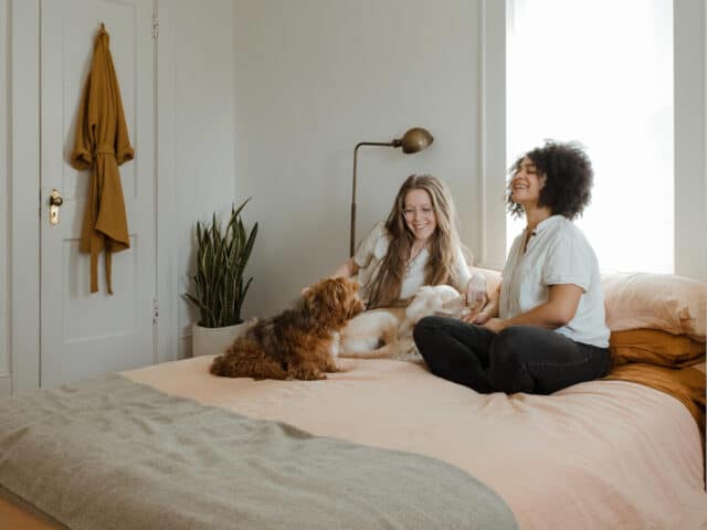 Two dogs in a bed with two people.