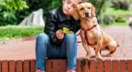 A young girl leaning on a dog.