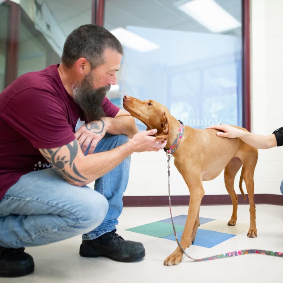 A MHS staff member greeting a dog in the waiting room.