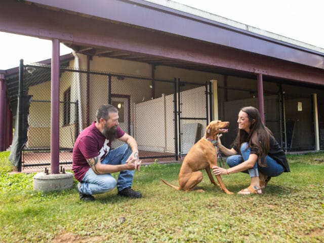 Two people and a dog in an outdoor MHS facility.
