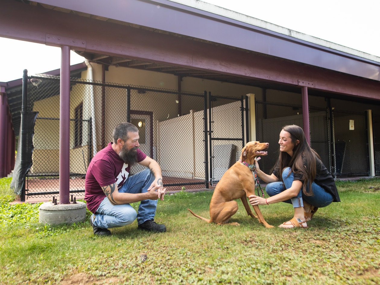 Monadnock humane society store dogs