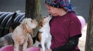 A MHS staff member sitting with two dogs.