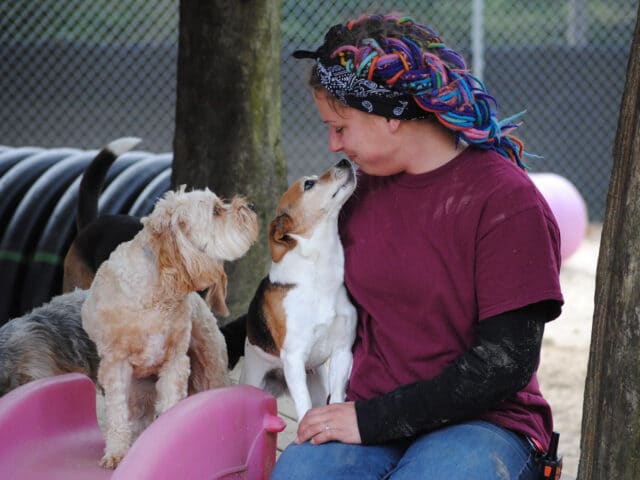 A MHS staff member sitting with two dogs.