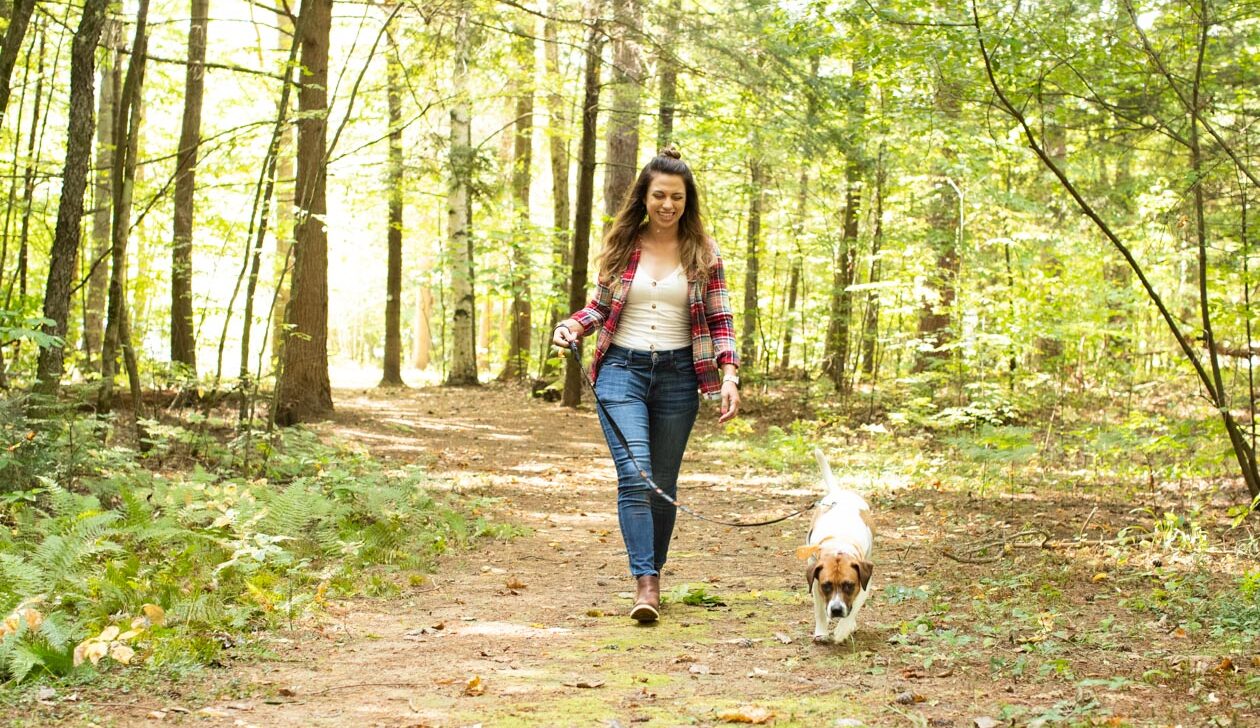 A woman walking a dog in a forest.