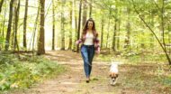 A woman walking a dog in a forest.