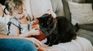 little girl petting cat.