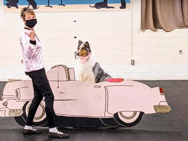 An instructor performing with a dog.