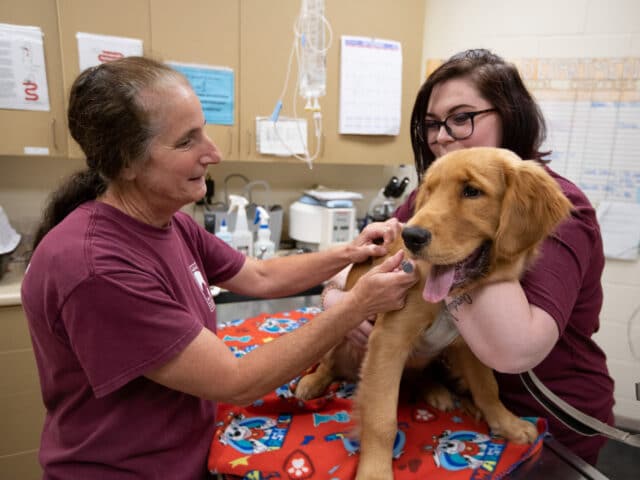 Public Pet Health Clinics Monadnock Humane Society