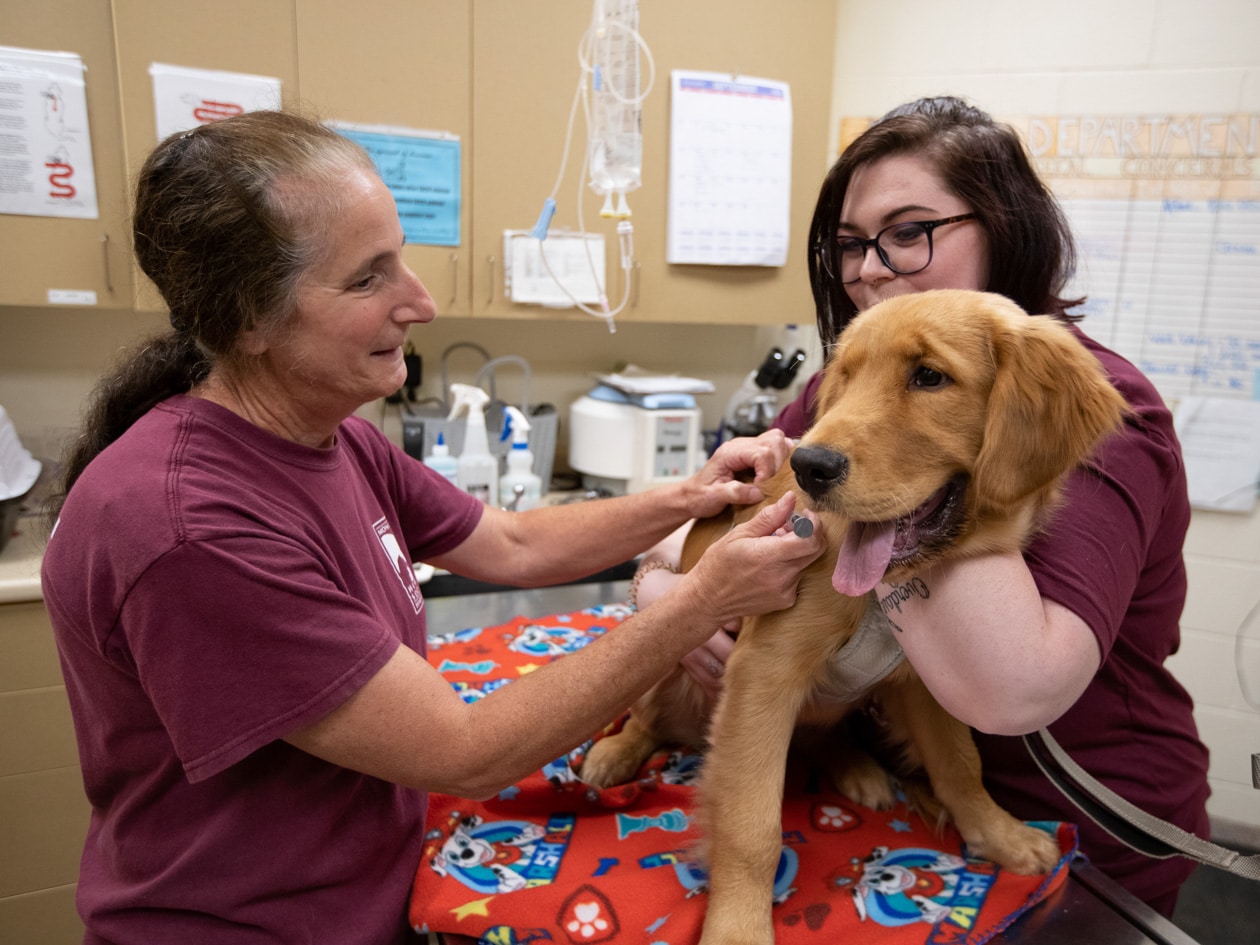 Public Pet Health Clinics - Monadnock Humane Society