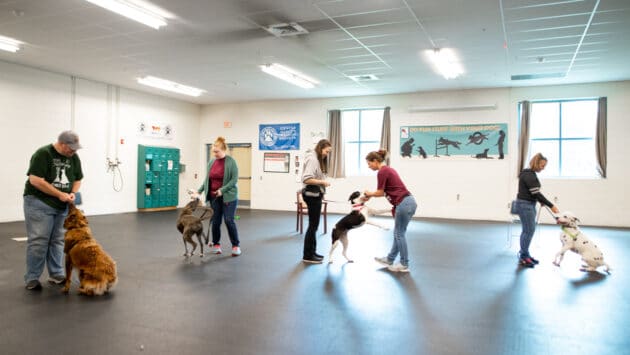 MHS dog training center.