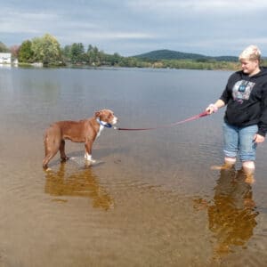 A dog on a leash at a lake.