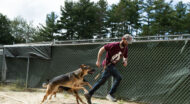 Two dogs without leashes running alongside a MHS trainer.