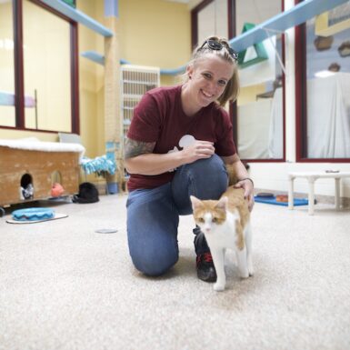 A woman petting a white and black dog in the MHS waiting room.