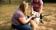 Two women playing with two dogs outside.