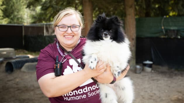 A MHS staff holding a white and black dog.