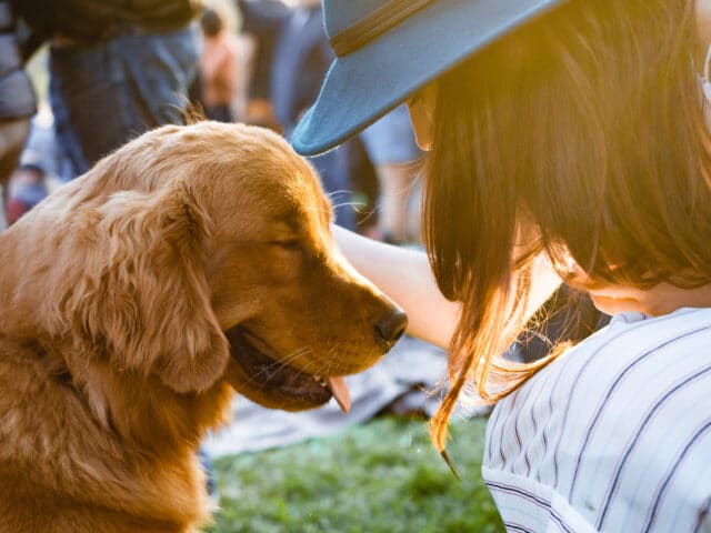 A person petting a dog.