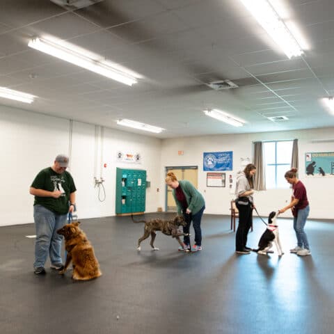 Interior of the MHS dog training center.