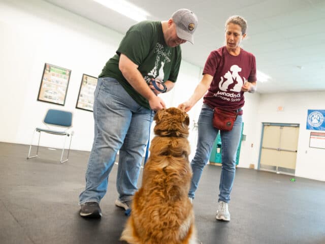 A dog being rewarded with treats.