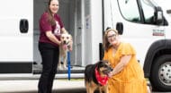 Two MHS staff members and two dogs in front of a truck.