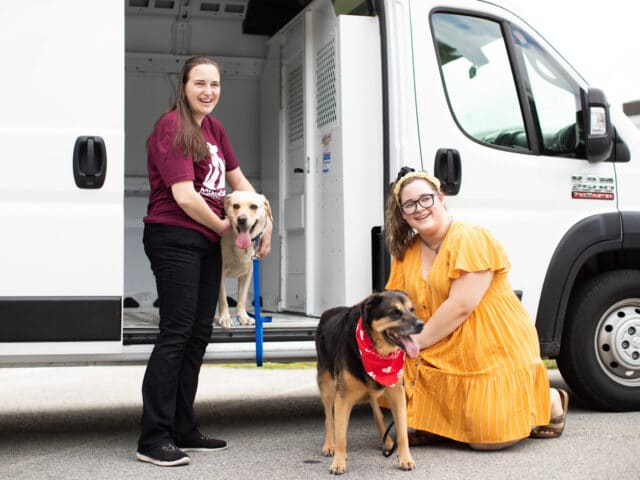 Two MHS staff members and two dogs in front of a truck.