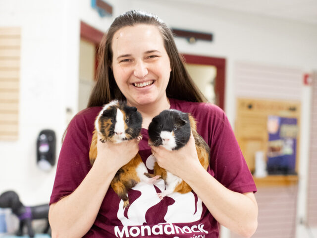 A MHS staff member holding two guinea pigs.