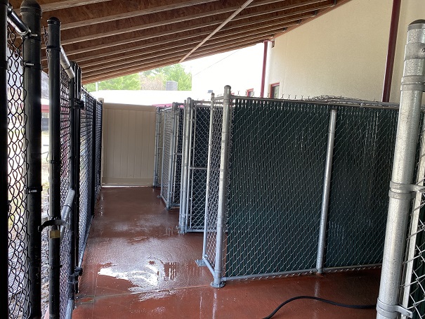 chainlink animal enclosures under a roof at an animal shelter.