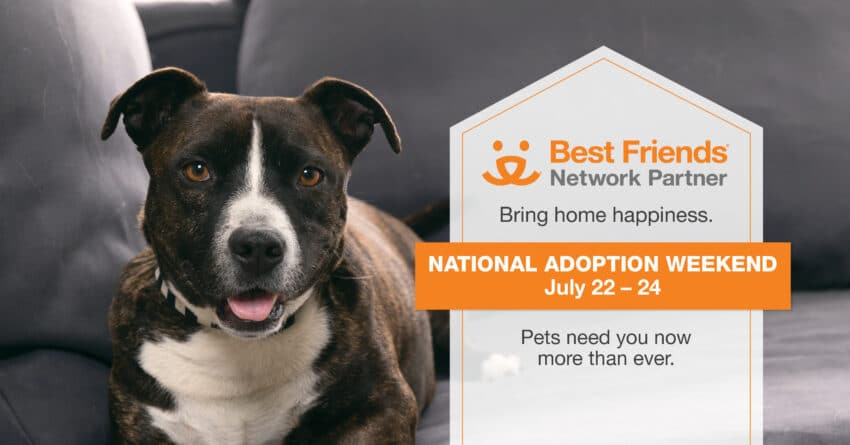 Adoption weekend deals