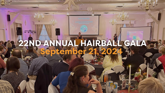 22nd Annual Hairball Gala