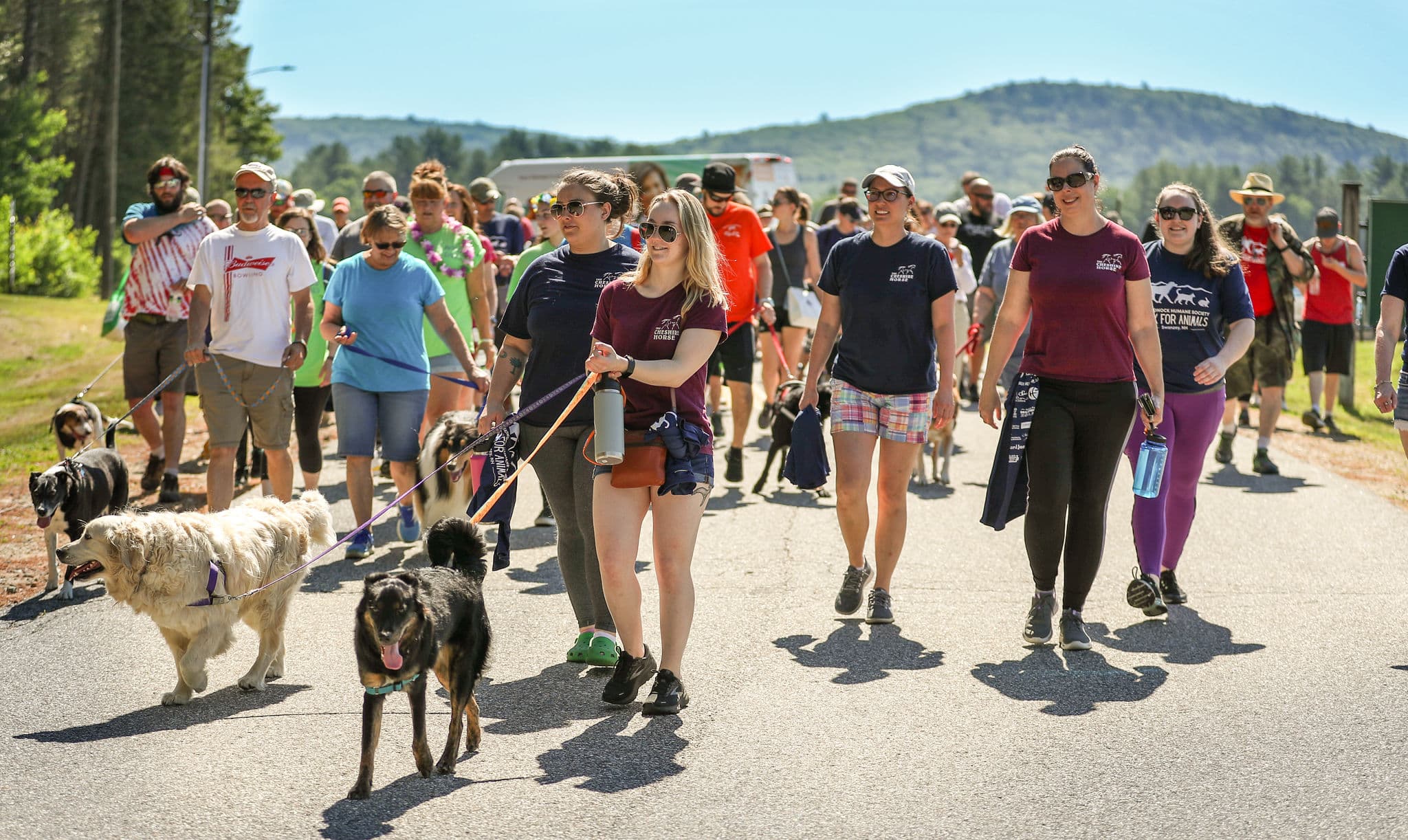 community members at the annual walk for animals