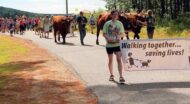 The 28th Annual Walk for Animals--Saturday June 18, 2016