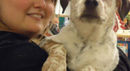 dog being held by woman.