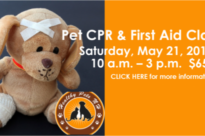 pet cpr first aid