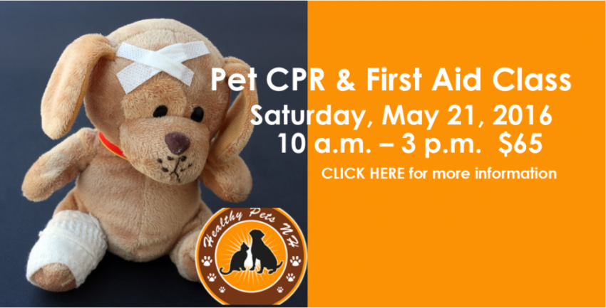 pet cpr first aid