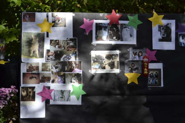 We Remember: An Event that Spoke to the Heart